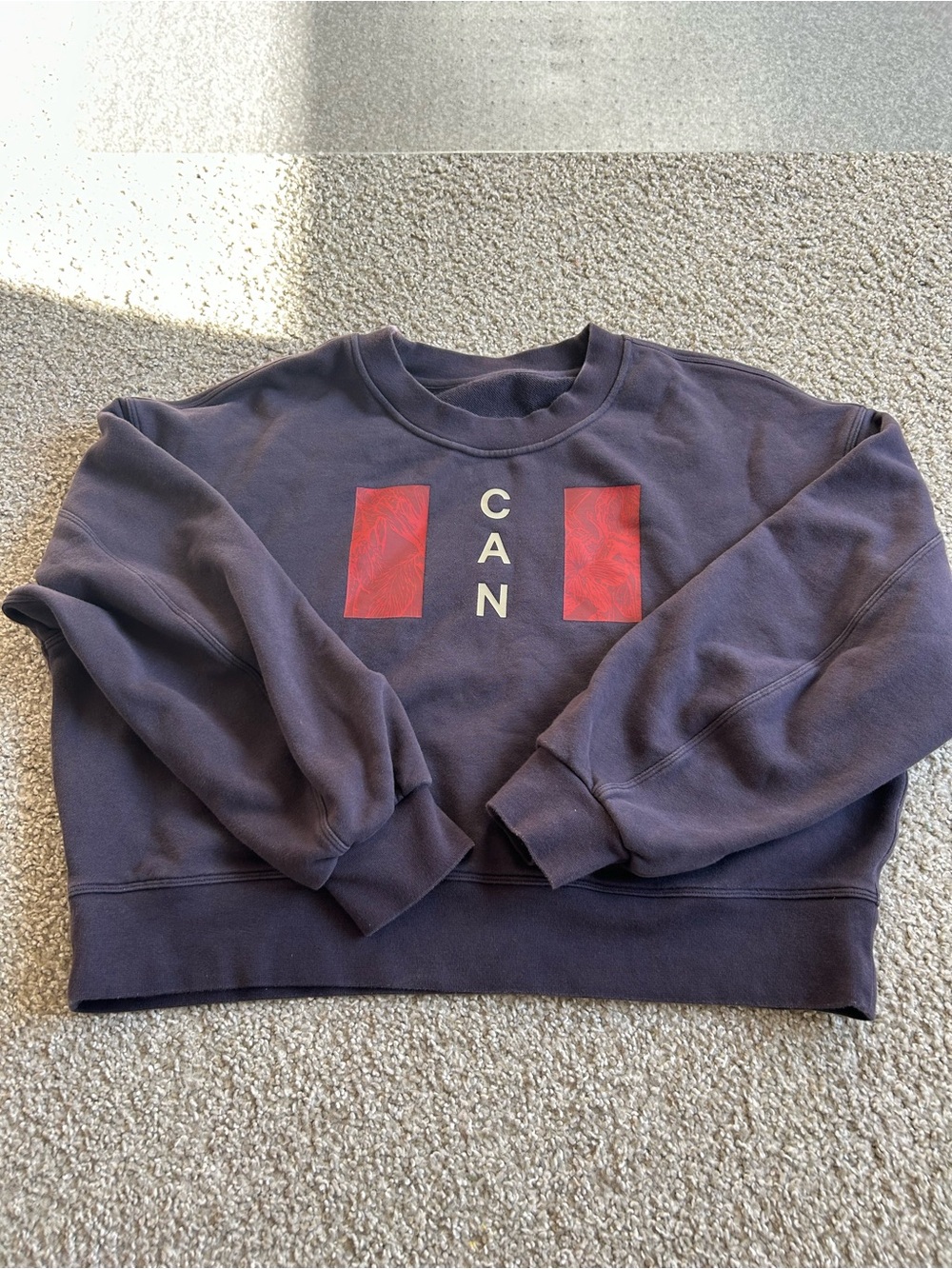 lululemon athletica Navy Crewneck with Red Graphic Panels